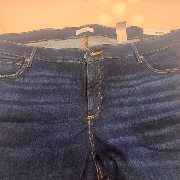 NWT LOFT Plus Modern Slim Pocket Skinny Jeans in Mid Indigo Wash Plus Size 26 - Picture 1 of 2